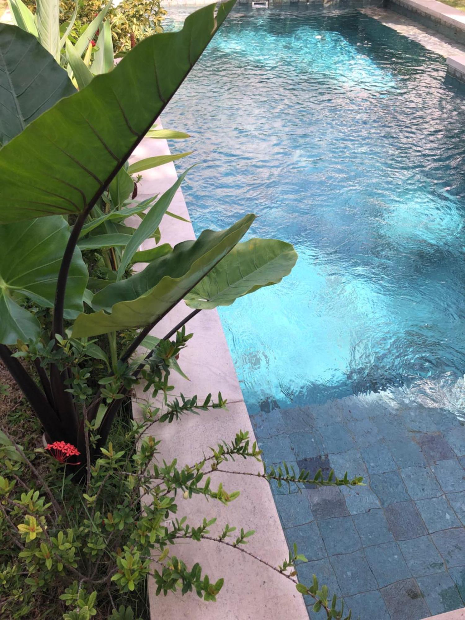 Villa Abhista Seminyak 外观 照片